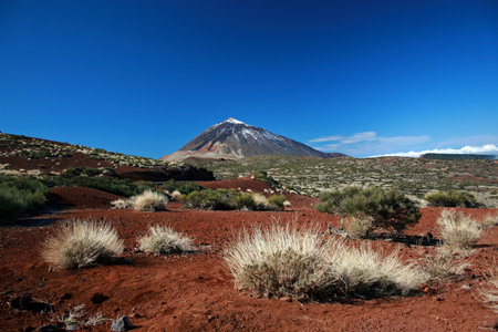 Volcanic landscape of Teide National Park, Tenerife, Canary Islands, Spainの写真素材