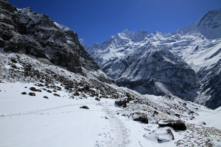 Annapurna Sanctuary, Annapurna Conservation Area, Himalayas, Nepalの写真素材