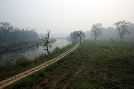 Landscape of foggy river and trees at the countryside. Landscape of early morning in Chitwan...