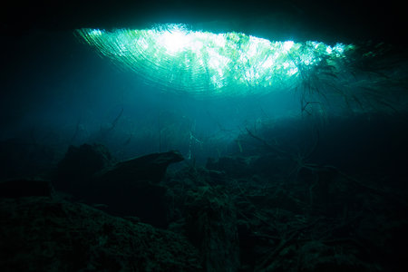 Underwater view of a Eden Cenote in the Yucatan Peninsula, Mexico