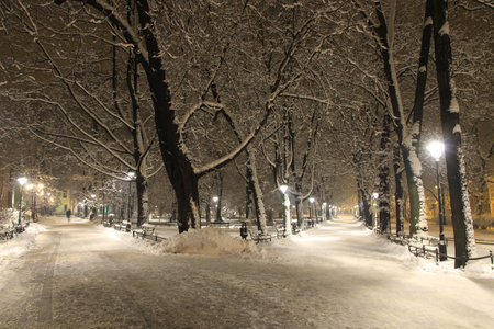 Night view of Planty park in winter, Cracow, Polandの写真素材