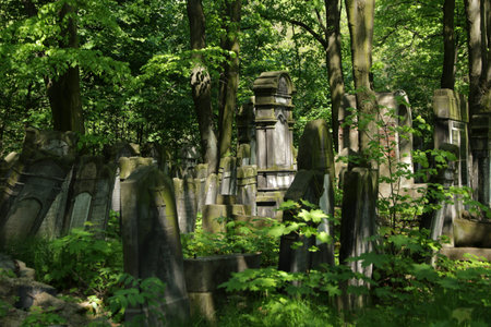 Old jewish cemetery in Lodz, Poland