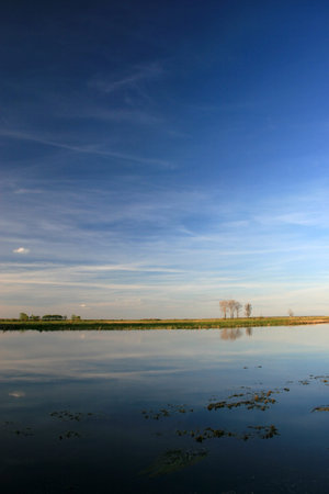 Landscape of Biebrza river in Biebrza National Park, Poland