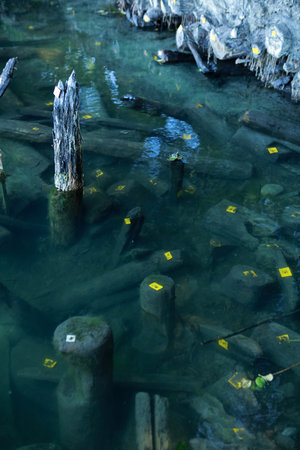 Underwater archaeological site - Lednica, Poland