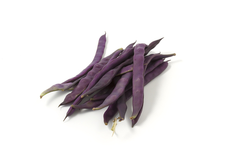 purple beans in pods on a white backgroundの写真素材