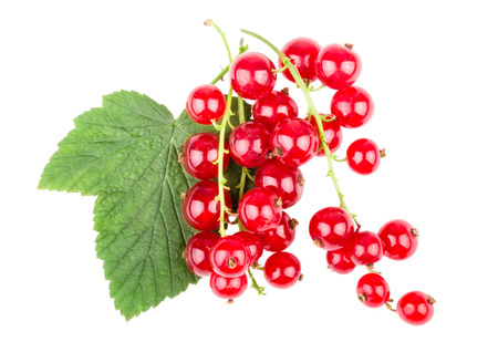 Red currant with leaf on white background. Isolatedの写真素材