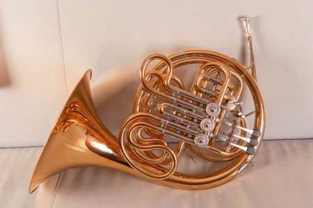 One french horn on grey backgroundの写真素材