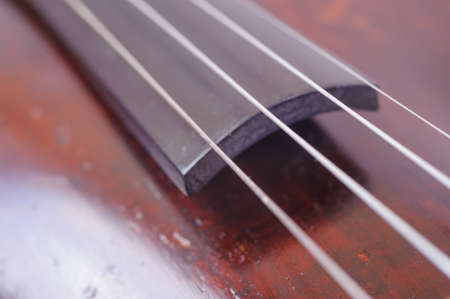 one violin image .old brown stringed wooden instrument close up view