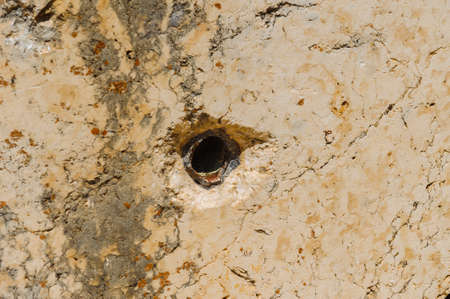 Baalbek Ancient city in Lebanon. Heliopolis temple complex near the border with Syria.の写真素材