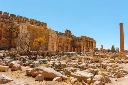 Arrayの写真素材