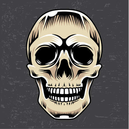 Skull vector illustration premium vectorのイラスト素材