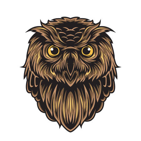 Owl images vectorのイラスト素材
