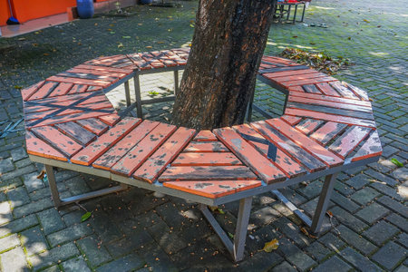 circular seating design under a tree in the park in summer