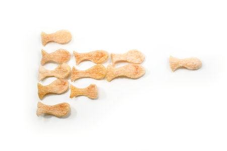 leadership concept, one fish cracker leads a group of other fish crackers isolated on white backgroundの写真素材