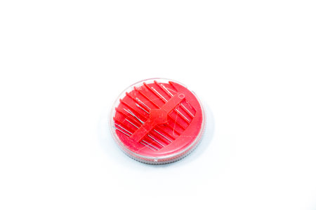 round red sewing needle holder isolated on a white background.