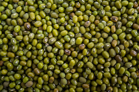 Top view of green bean seeds, suitable for web landing page.
