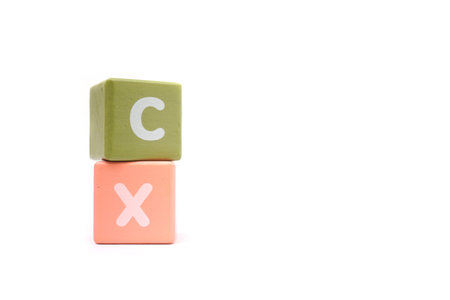 text CX Customer Experience on colorful wooden isolated on a white background.