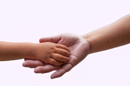 Father holding hands with his child Isolated on white backgroundの写真素材