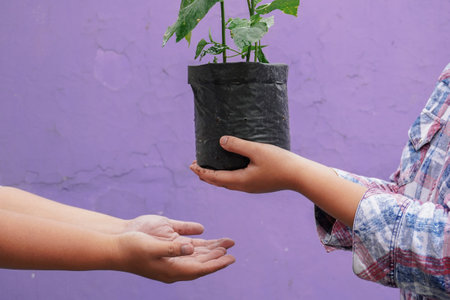 Earth Environment Day, the hand of a woman who wants to give plant seeds in a plastic bag to her friend.の写真素材