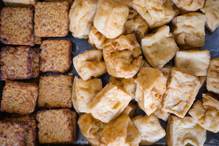Homemade tofu and tempeh neatly arranged.の写真素材