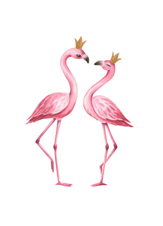Watercolor pink flamingos isolated on white background. hand drawn illustrationの写真素材