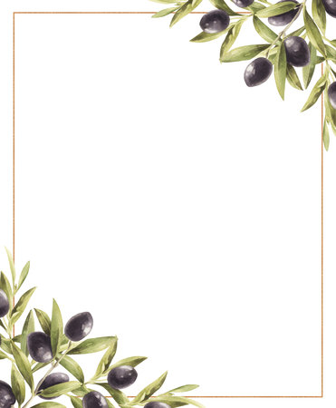 Watercolor frame with olives and leaves isolated on white background.の写真素材