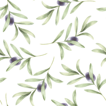 Seamless pattern with olive branch. Hand drawn watercolor illustration.の写真素材