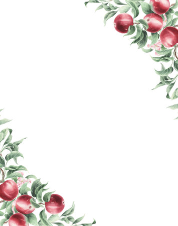 Watercolor frame with red apples and green leaves on a white background.の写真素材