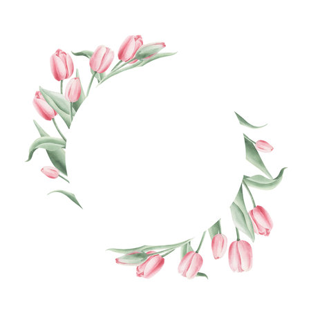 Watercolor floral wreath with pink tulips on a white backgroundの写真素材