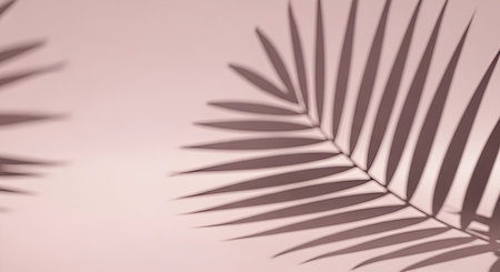 The distinct shadow of a palm leaf is cast diagonally across a soft pink background. The shadow creates a delicate pattern of lines and shapes, suggesting a tropical or natural element. The image has a minimalist and serene aesthetic, with soft lighting.の写真素材