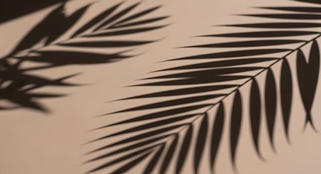 The image displays the distinct shadows of palm leaves cast onto a soft beige surface. The sharp, elongated shapes of the fronds create a graphic and abstract pattern of light and shadow. The composition evokes a sense of tropical tranquility and natural beauty.の写真素材
