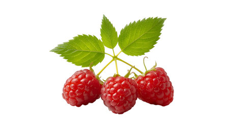 A close-up studio shot of three bright red raspberries clustered together with three vibrant green...