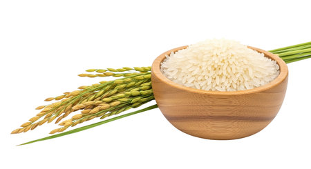 A wooden bowl is filled with uncooked white rice. To the left of the bowl, a cluster of rice stalks with green leaves and golden grains is positioned. The entire arrangement is set against a solid black background.の写真素材