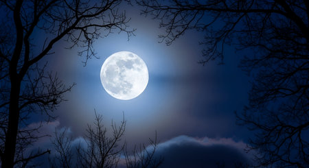 A luminous full moon dominates the dark night sky, its bright light casting a soft glow. The moon is...