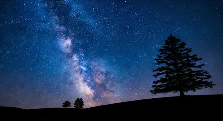 The majestic band of the Milky Way galaxy stretches across a deep blue night sky, filled with countless stars. In the foreground, the dark silhouettes of evergreen trees stand against the luminous celestial display, creating a breathtaking natural landscape.の写真素材