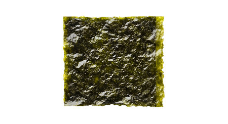 A close-up, top-down view of a single sheet of dried seaweed. The surface is textured with a dark...