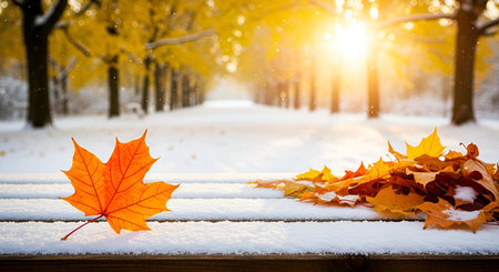 An orange maple leaf rests on a snow-covered wooden bench in a park-like setting. In the background,...