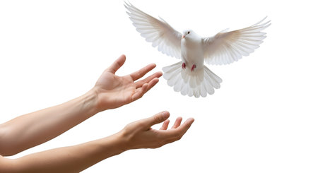 Showing white dove flying from hands on black background. High resolution image suitable for commercial use. High quality image with transparent background support.の写真素材