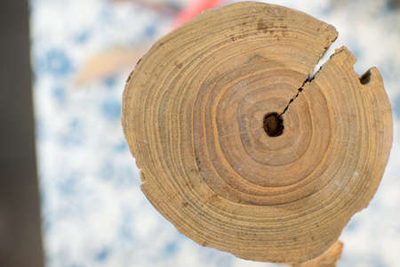 wood texture background on tableの写真素材