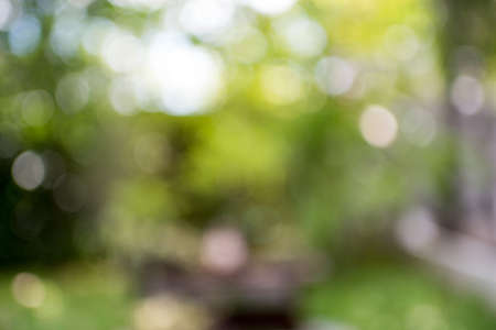Blur green leaves with bokeh, abstract background,Natureの写真素材