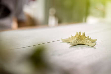 Starfish on white wooden table backgroundの写真素材