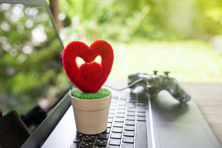 Heart and Tree, Growing Love Tree on notebookの写真素材