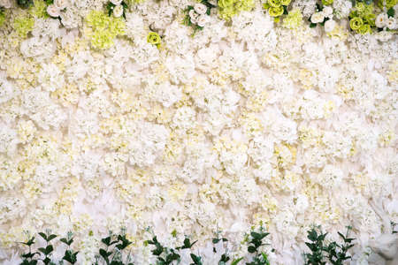 White flowers decorative background