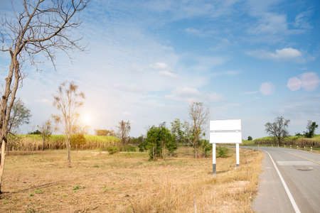 Arrayの写真素材