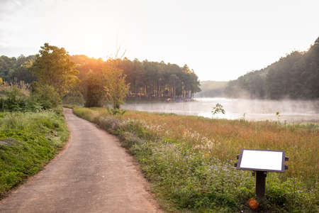 Road with sign in forestの写真素材