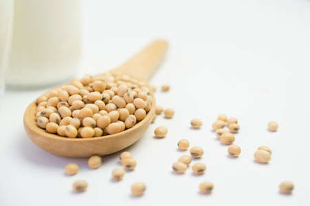 Isolated soy beans and soy milk in a glassの写真素材