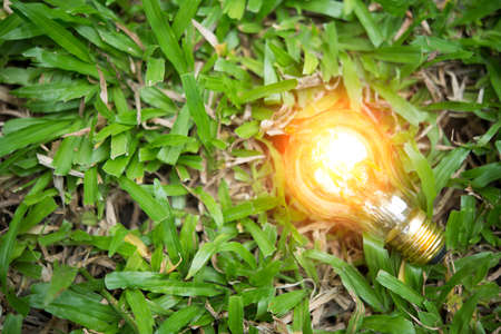 light bulb on grass with sunset power energy concept natureの写真素材