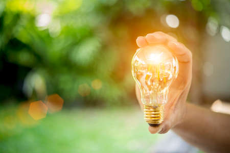 light bulb on grass with sunset power energy concept natureの写真素材
