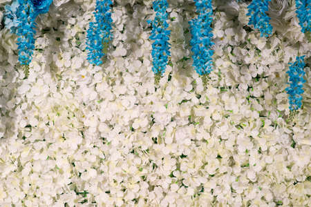 White flowers decorative background