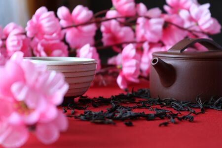 Chinese tea ceremony on the background of Sakura flowers.の写真素材